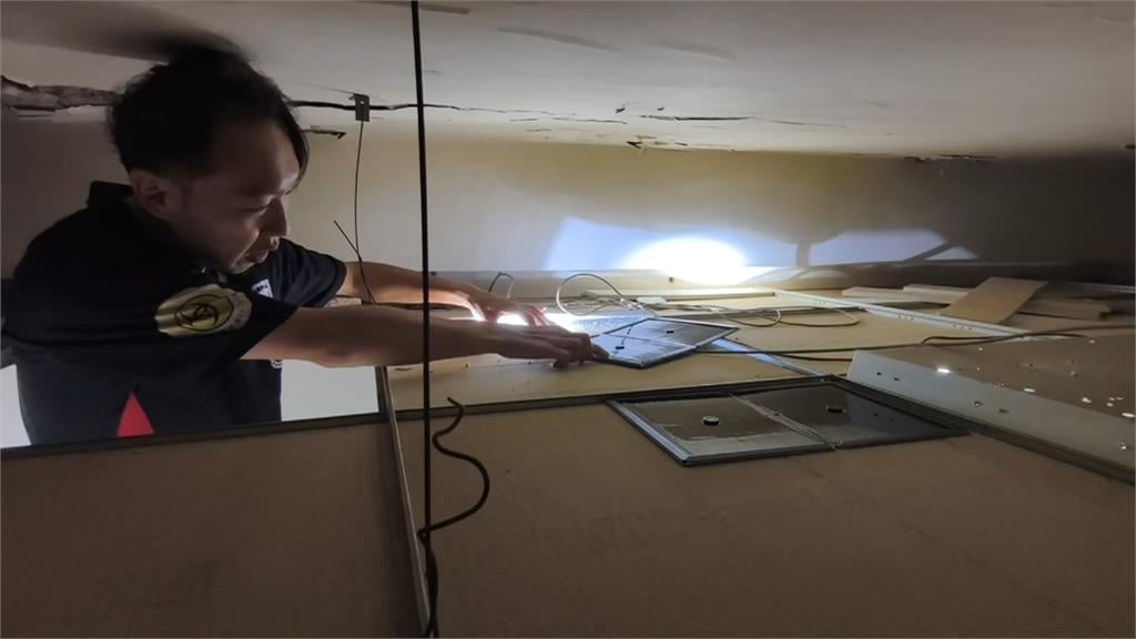除鼠！北市「安鼠之亂」延燒　第一線抓鼠公司近期電話接不完