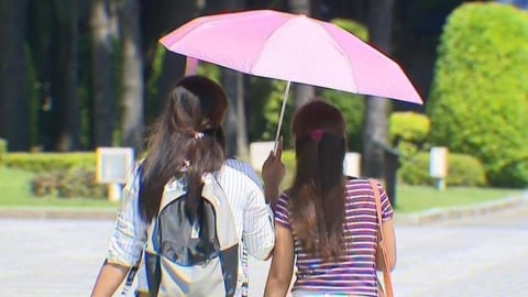 颱風「哈格比」生成影響曝！全台多雲到晴感受熱「這區上看36度」