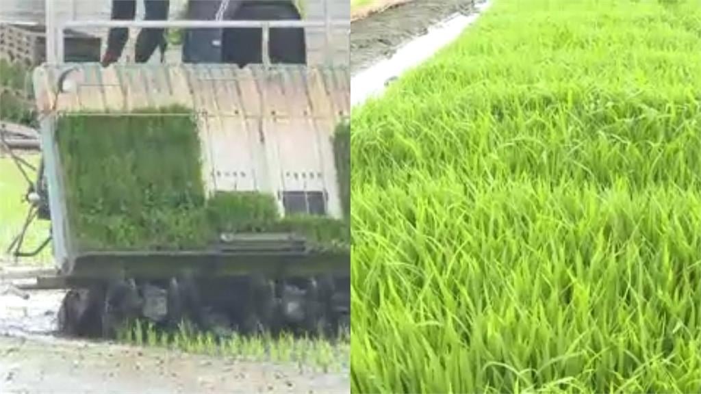 關鍵今日／南部缺水大見底！96年前八田與一「治水超級工程」再被挖…改寫嘉南命脈