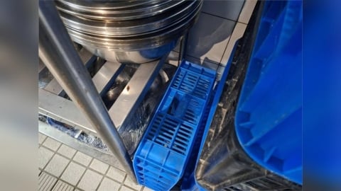大直典華「老鼠亂竄」賓客尖叫   衛生局稽查：有病媒痕跡！