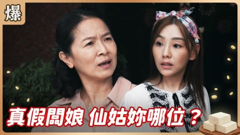 《豆腐媽媽-EP98精彩片段》真假闆娘 仙姑妳那位？