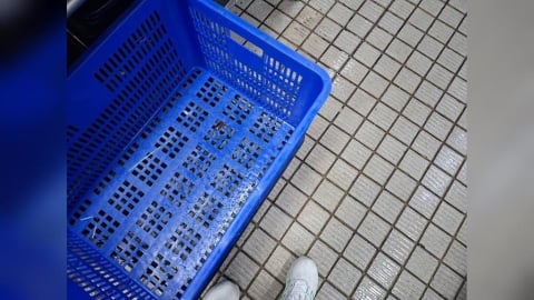 大直典華遭鼠患！衛生局稽查「廚房有老鼠痕跡」限期改善