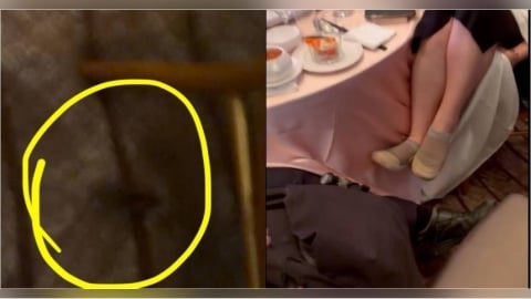 大直婚宴會館驚見「老鼠亂竄」！賓客嚇到雙腳離地　網酸：主廚巡視