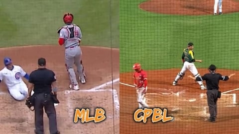 MLB(影)／這不是基本功嗎？紅人捕手「低級失誤」烏龍掉分「讓中職領先大聯盟」