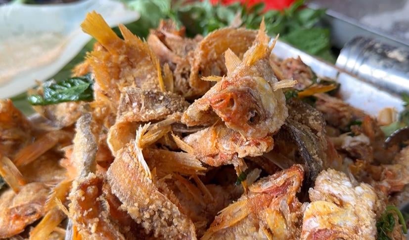 吃下肚！　外來魚肆虐日月潭　酥炸「紅魔鬼」成風味小吃