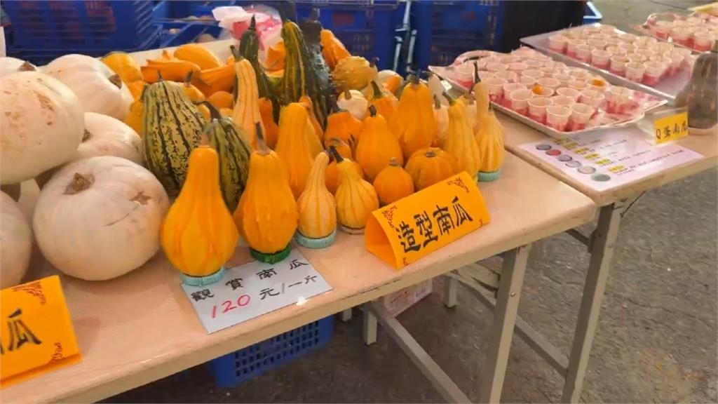 母親節週末吸遊客！　苗栗造橋南瓜節登場 200米南瓜隧道.巨型南瓜超吸睛