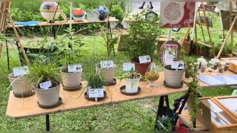 苗栗新埔國小變復育基地 保護逾17種受威脅植物