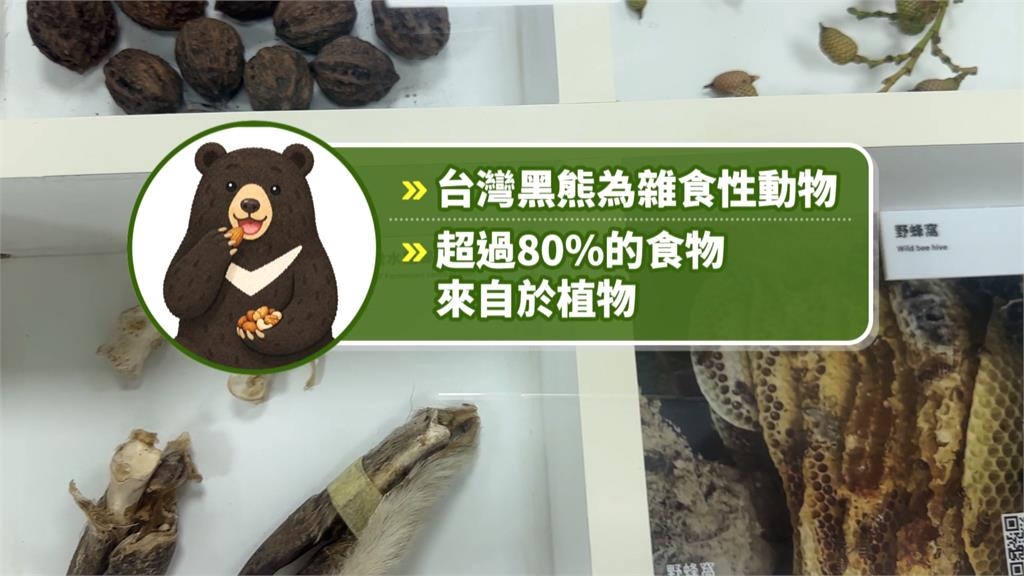 台灣黑熊周邊爆紅！　「便便鑰匙圈」外國人都想要
