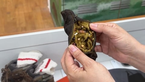 台灣黑熊周邊爆紅！　「便便鑰匙圈」外國人都想要