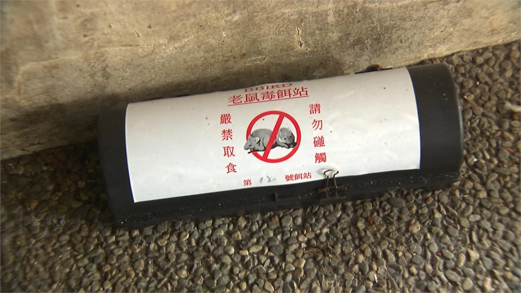 台北安鼠之亂燒到中正紀念堂！　網友大酸：真的是「蔣戒鼠」