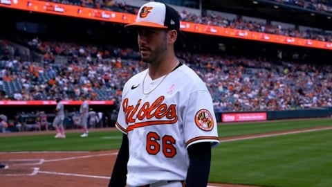 MLB(影)／最有創意寶寶性別揭曉！金鶯菜鳥投手在比賽中為哥嫂公布答案