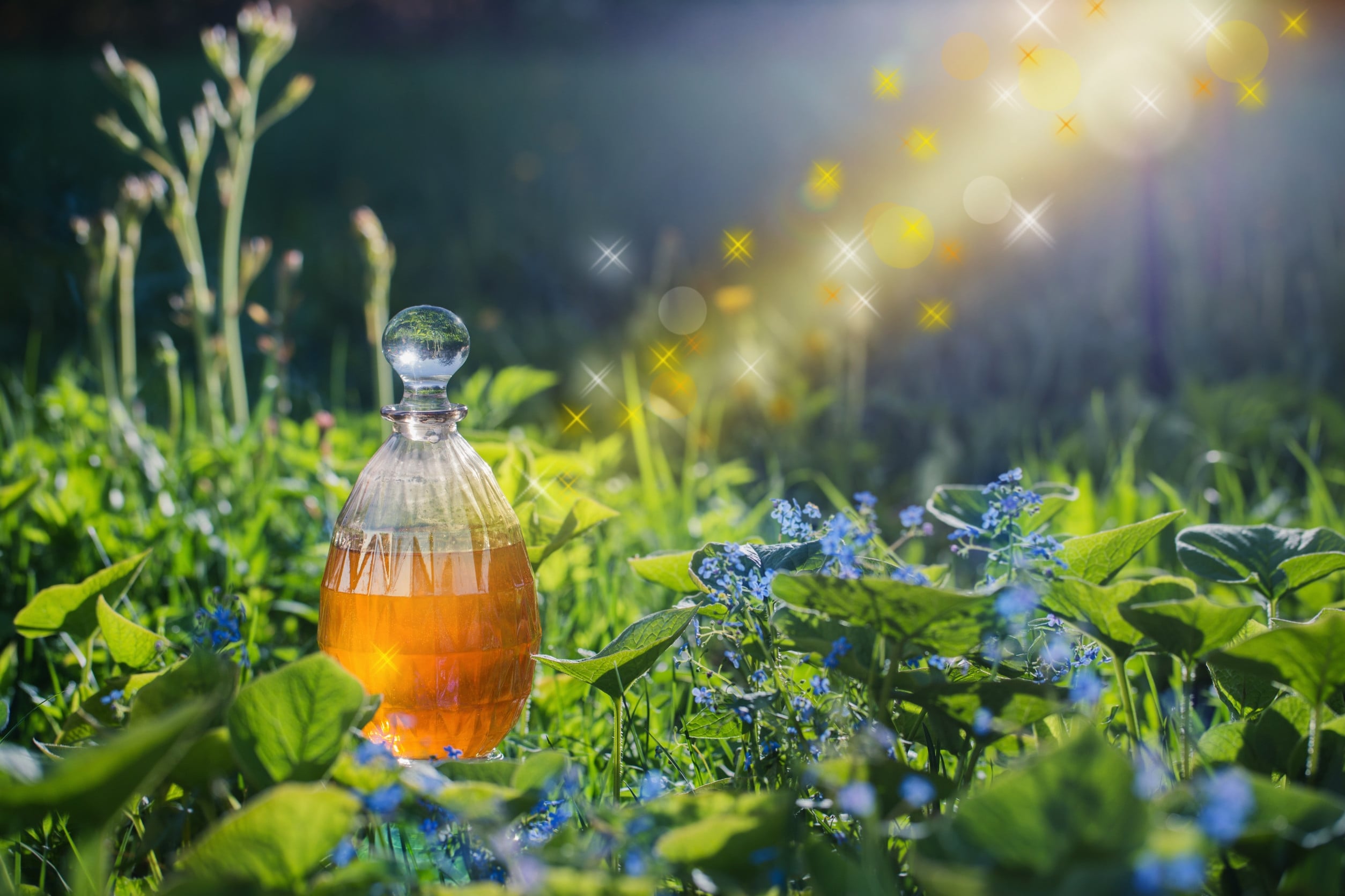 草本調性或是水果調性的香水，帶著露水的蜜桃、荔枝或是帶點苦味的紅石榴。多汁的果香讓妳整個人看起來充滿活力。圖/123RF圖庫