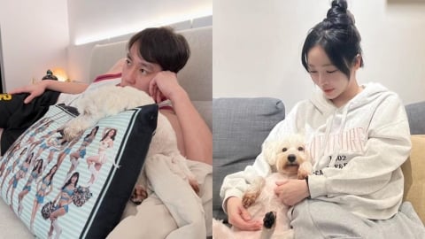 舒子晨「當排球圈大嫂2年」鬆口閃婚內幕!噴髒床「老公1舉動」認定就是他