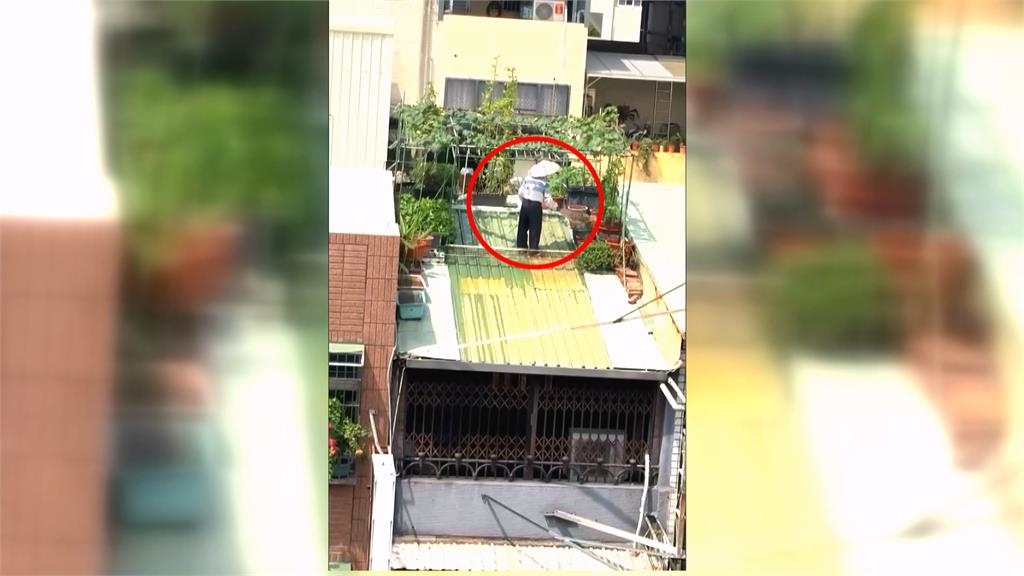 空中菜園！91歲伯爬鐵皮屋頂澆花種菜　民眾目擊直呼好危險