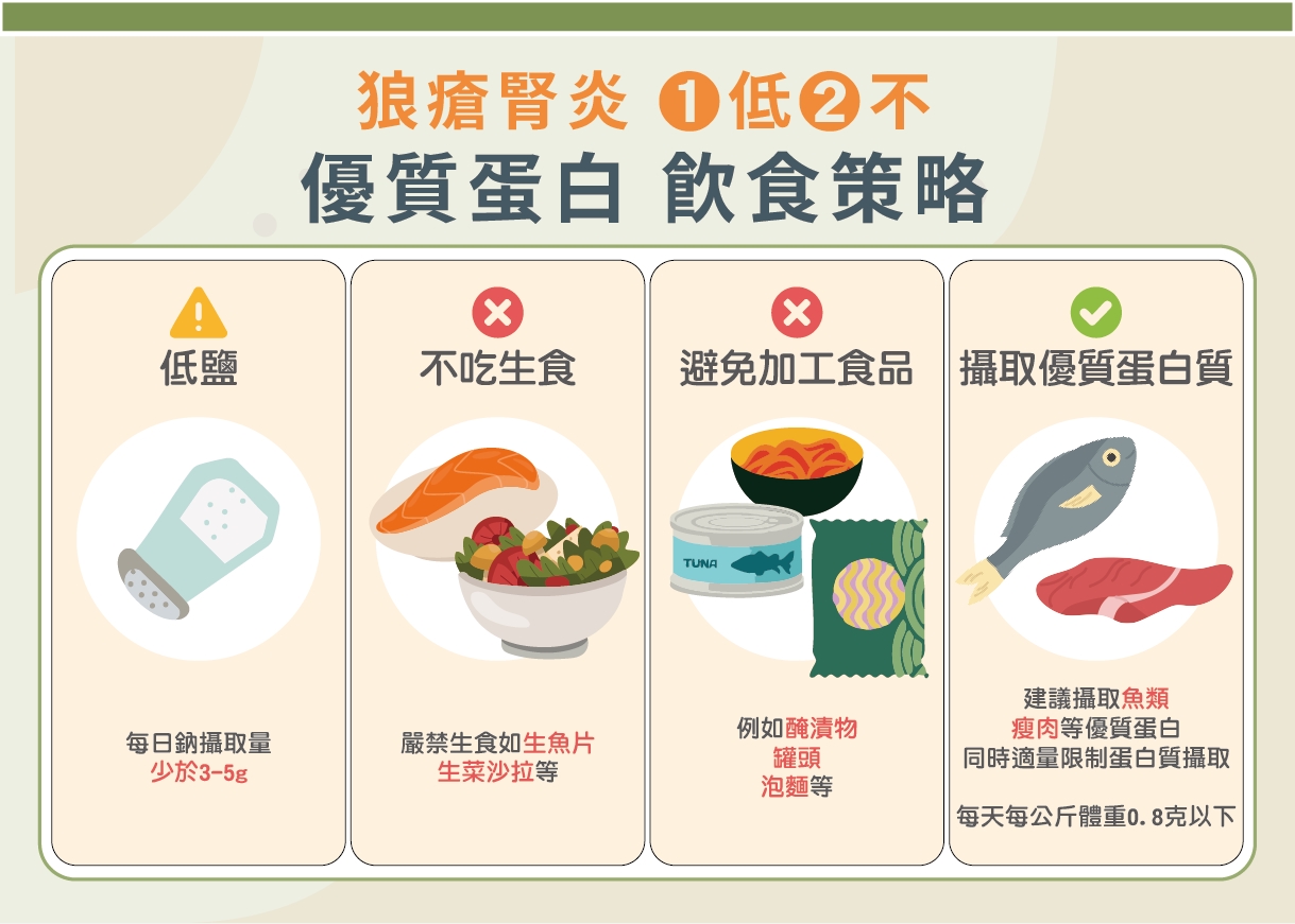 紅斑性狼瘡每2人就1人併發腎炎！新抗CD20標靶生物製劑助類固醇減量