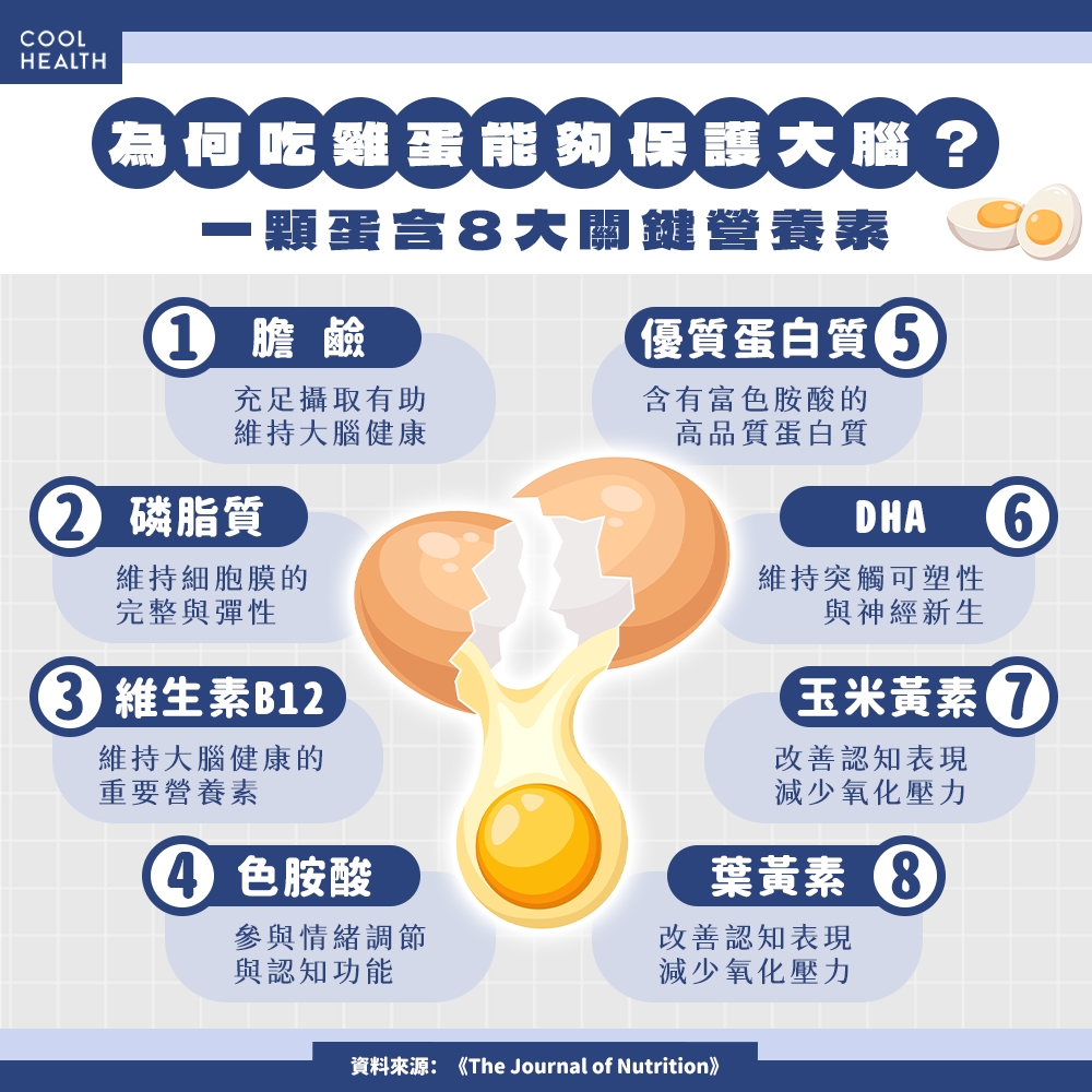 為何吃蛋能保護大腦? 專家曝 5 大關鍵營養素