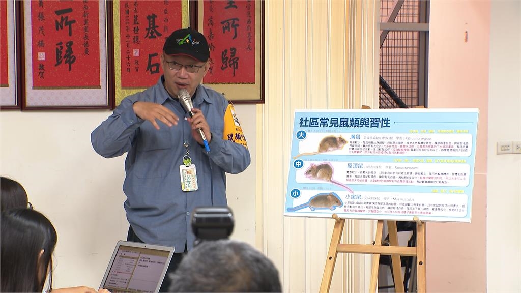 北市「鼠類偵防師」5/15上路　何孟樺轟：累死消毒班基層