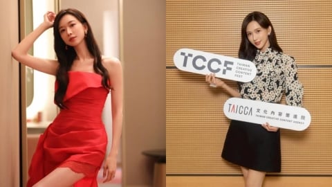 林志玲將出任文策院董事！2原因成「最需要的力量」這貼文掀兩派論戰