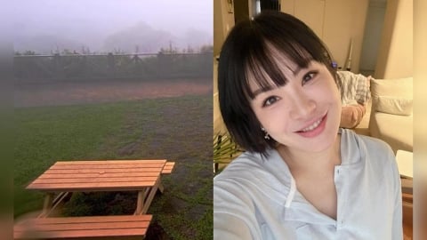 擎天崗「情侶忘情野戰」恐犯公然猥褻?陳沂搖頭點1關鍵:頂多是亂丟垃圾