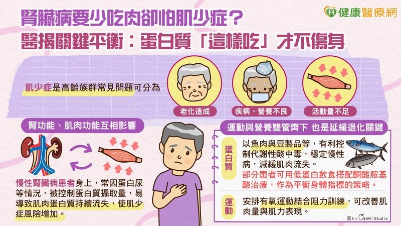 腎臟病要少吃肉卻怕肌少症?醫揭關鍵平衡:蛋白質「這樣吃」才不傷身