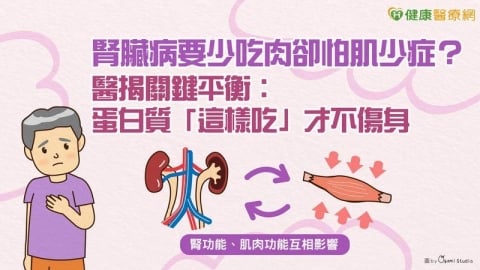 腎臟病要少吃肉卻怕肌少症？醫揭關鍵平衡：蛋白質「這樣吃」才不傷身