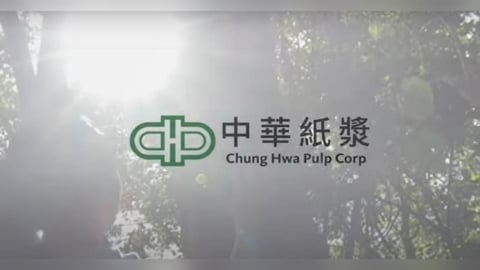 紙漿逆風未解 華紙靠成本調整與綠色轉型撐住基本面