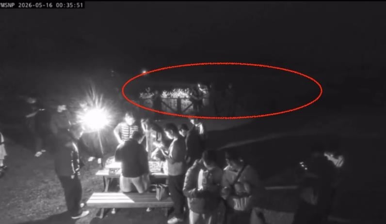 擎天崗激戰桌「男女撞完5分鐘」暴紅！深夜又戰了「驚見雙龍衝撞一幕」驚動警