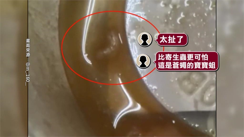 超商鮭魚沙拉驚見活蟲蠕動 奶油義大利麵小蟲亂竄超噁!