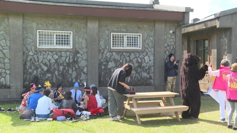 擎天崗爆紅週末逾萬人朝聖　遊客直呼拯救國旅、可辦跨年