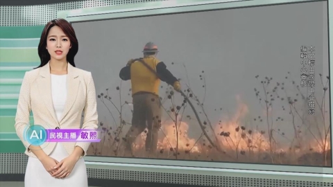 敏熙報氣象/美國德州雷暴! 閃電引發野火 56平方公里林地遭燒毀