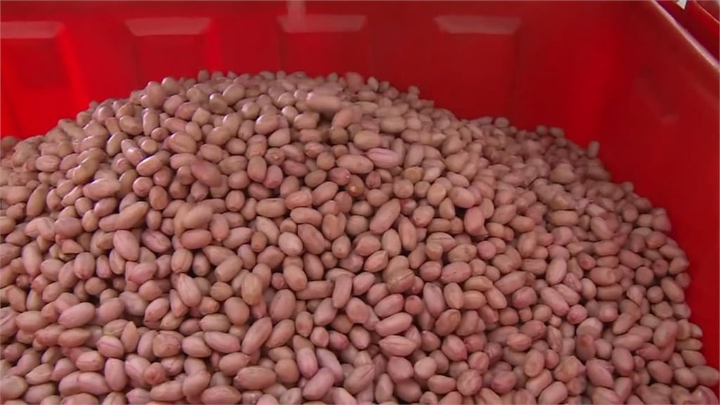 出現「這味」趕快丟!醫示警「5大易中毒」天然食物吃下恐致腸胃炎