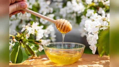 蜂蜜如何保存最鮮美？烹飪達人分享保存妙招