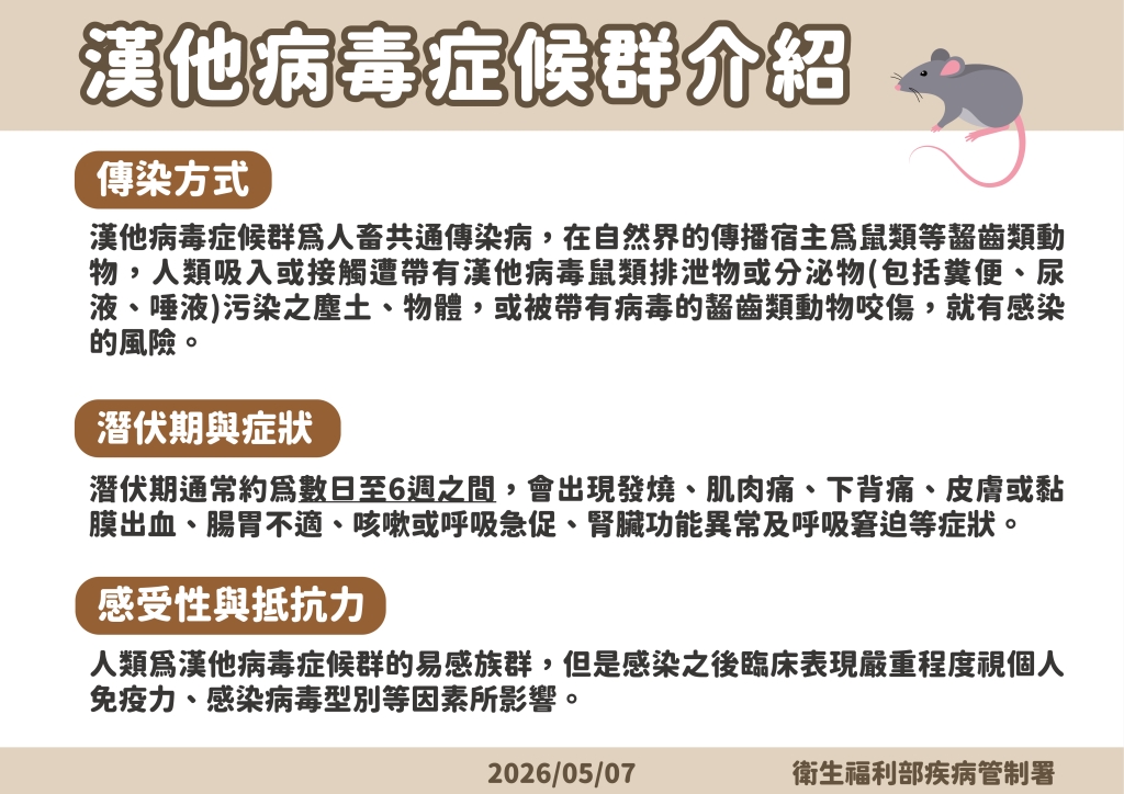 安鼠之亂嚇瘋!基隆男徒手「抓老鼠」反遭咬傷 確診漢他病毒