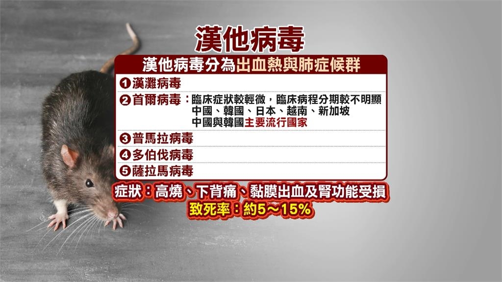 基隆漢他個案證實「首爾病毒」　疾管署：不會人傳人