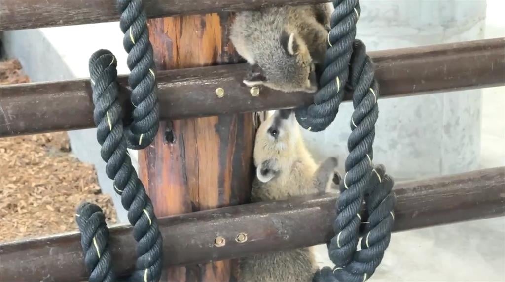 沒五星好評不給出去? 宜蘭動物農場爆"關客人"爭議