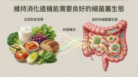 排便不順吃益生菌有用嗎？解析菌相與消化道保養觀念