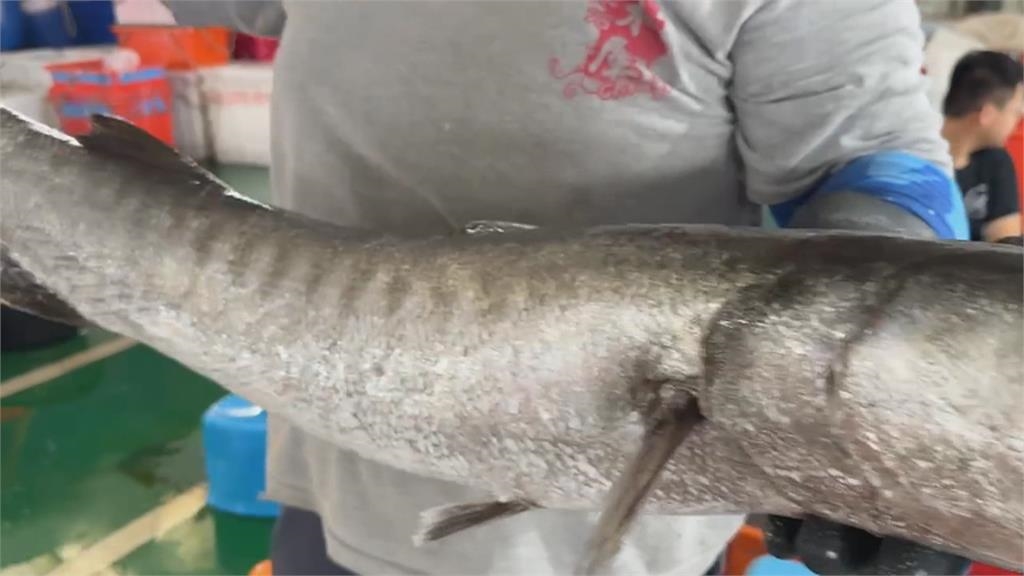 尖梭魚肉質偏黑不新鮮? 女衝回攤販要退貨爆爭吵