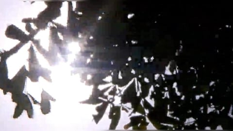 注意防曬！5縣市高溫特報　氣象署曝「恐飆破36度」