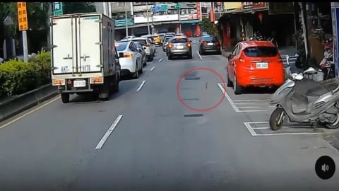 要求工地蓋房前先「滅鼠」　馬郁雯轟：工程師變鼠類偵防師？