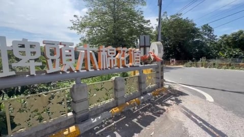 橘紅花海！彰化木棉花開兩樣情　掉落棉絮、果實影響健康及交通