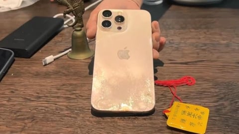沒有奇蹟！手機被魚吞肚8個月　盛大辦「開機」儀式確定陣亡