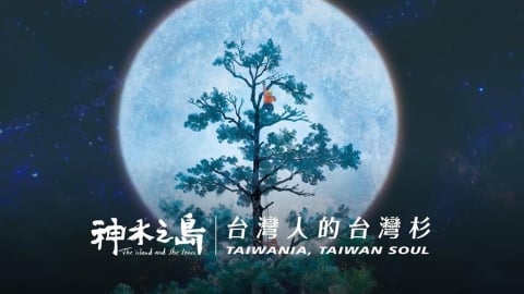 首映無人看！「這部片」逆襲成功票房破百萬　單日票房超越《麥可傑克森》