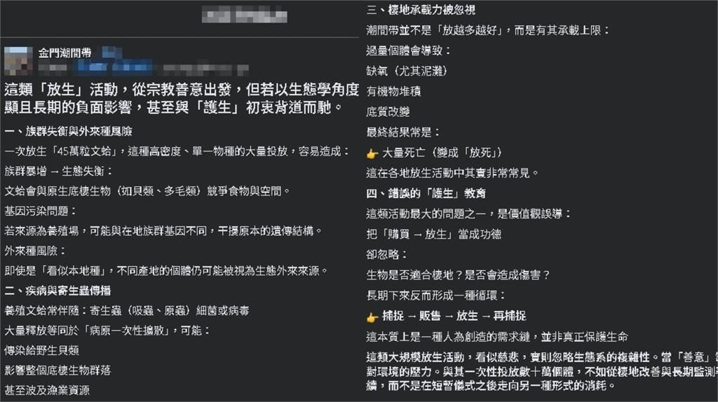 文蛤
