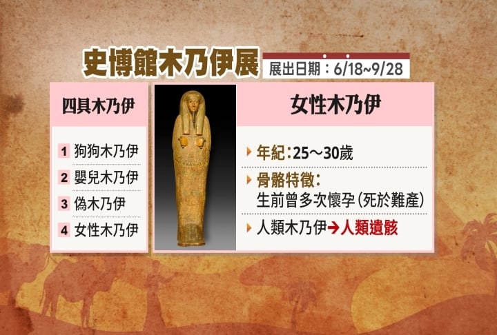 史博館6月將推「埃及木乃伊」特展　航空公司要求出示「死亡證明」