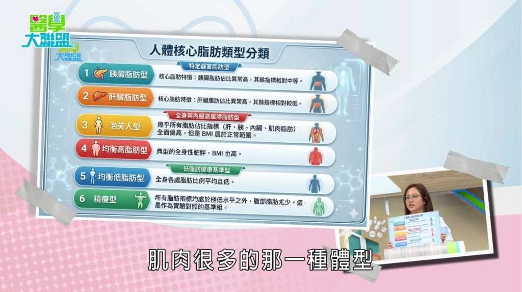 董仔《醫學大聯盟》揭「內臟脂肪」隱形殺手：脂肪堆積胰臟恐損大腦！