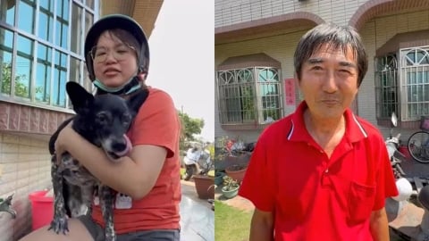 「後院一看」驚見50萬元!他尋獲陳美琪「拒收高額懸賞金」背後原因超有人味