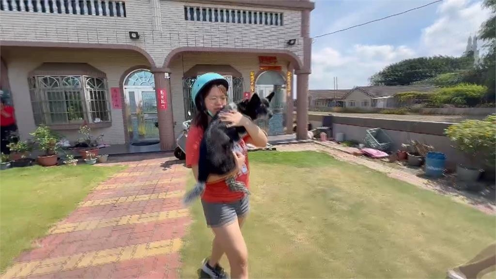 50萬元找到了!鄰居尋獲陳美琪 飼主相擁喜極而泣