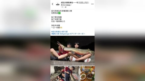 成大生吃掉228公園吉祥物!鱷雀鱔「下鍋煮成熱炒」 北市府震怒開罰
