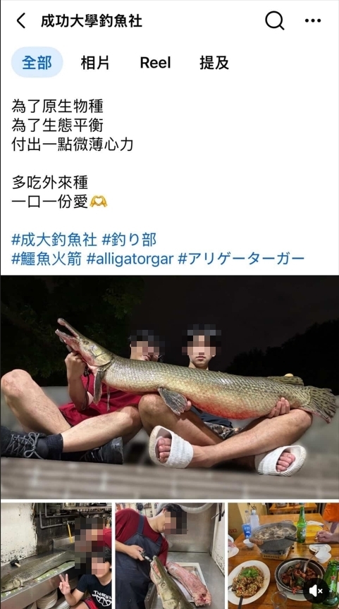 228公園吉祥物「鱷魚火箭」被料理!成大釣魚社PO「烹食照」炫耀遭炎上