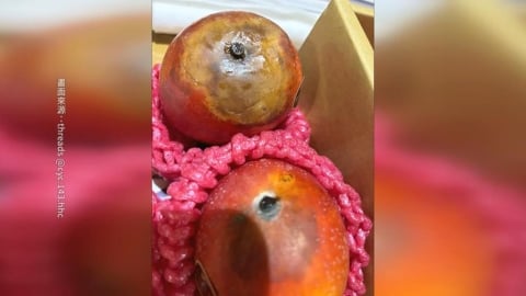 民眾網購枋山愛文芒果 好幾顆「腐爛發黑」超傻眼!